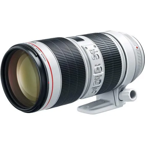 Canon EF 70-200mm III USM Telephoto Zoom Lens for Canon DSLR - Bundle