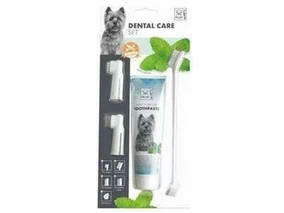 DENTAL CARE SET - MINT FLAVOUR