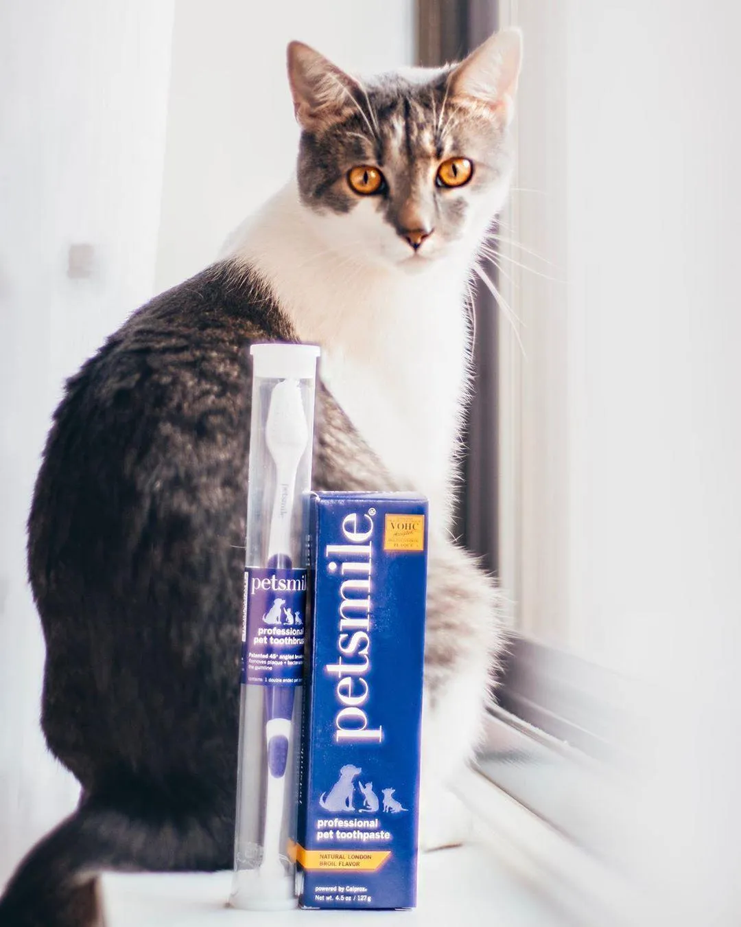 Dual-Ended Pet Toothbrush