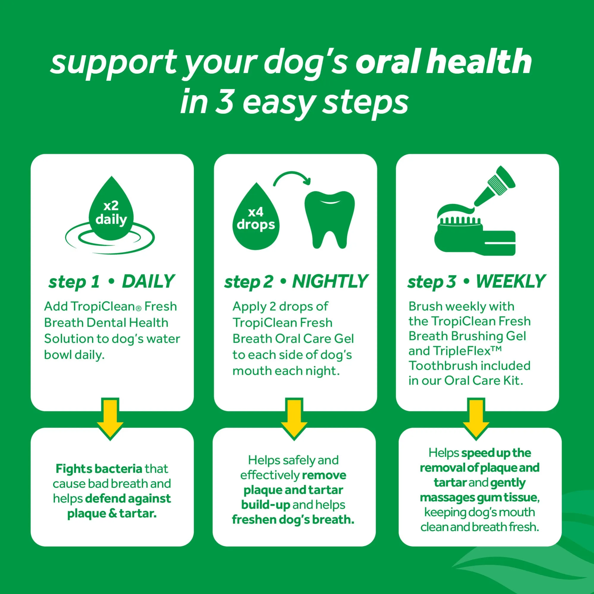 Oral Care Kit for Dogs