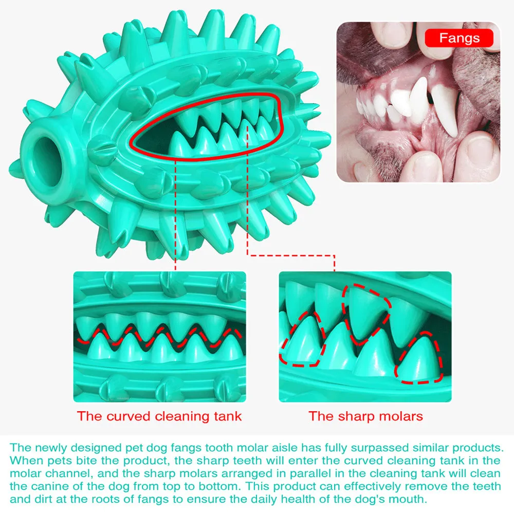 QUMY Dog Toys Toothbrush